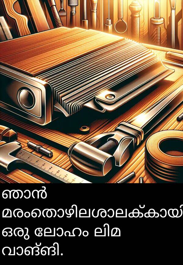 ലോഹം: ഞാൻ മരംതൊഴിലശാലക്കായി ഒരു ലോഹം ലിമ വാങ്ങി.
