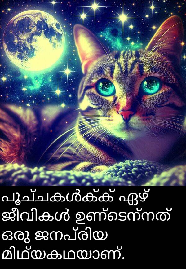ഏഴ്: പൂച്ചകൾക്ക് ഏഴ് ജീവികൾ ഉണ്ടെന്നത് ഒരു ജനപ്രിയ മിഥ്യകഥയാണ്.
