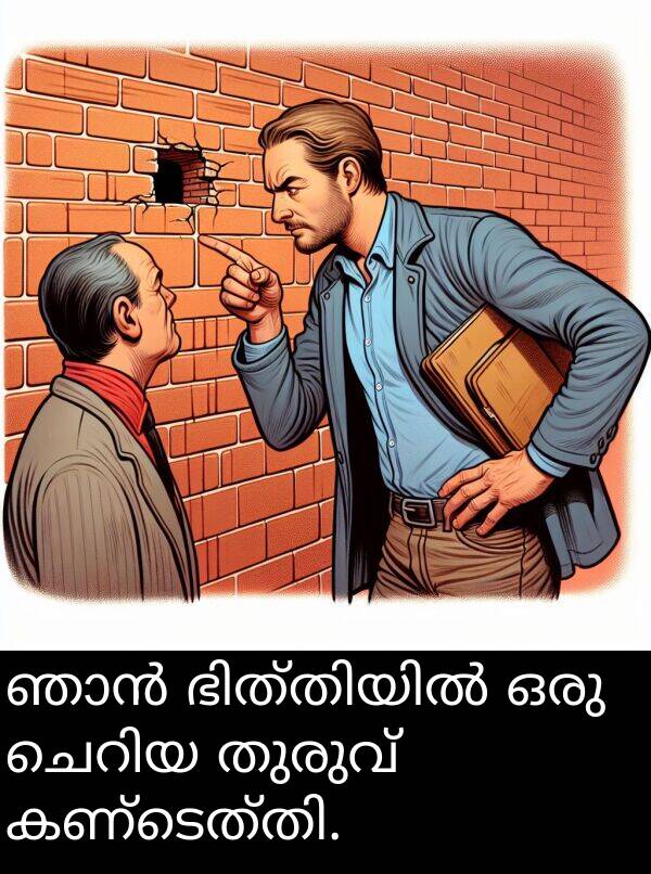 തുരുവ്: ഞാൻ ഭിത്തിയിൽ ഒരു ചെറിയ തുരുവ് കണ്ടെത്തി.