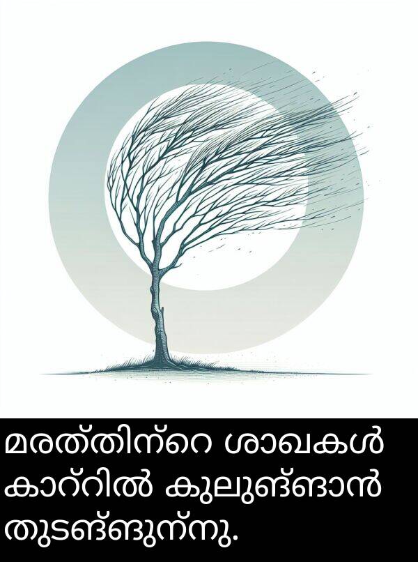 തുടങ്ങുന്നു: മരത്തിന്റെ ശാഖകൾ കാറ്റിൽ കുലുങ്ങാൻ തുടങ്ങുന്നു.