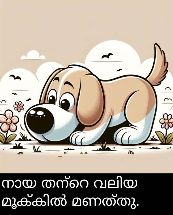 മണത്തു: നായ തന്റെ വലിയ മൂക്കിൽ മണത്തു.