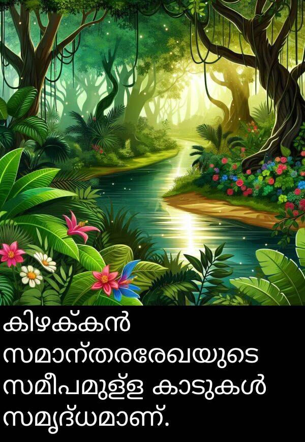 സമീപമുള്ള: കിഴക്കൻ സമാന്തരരേഖയുടെ സമീപമുള്ള കാടുകൾ സമൃദ്ധമാണ്.