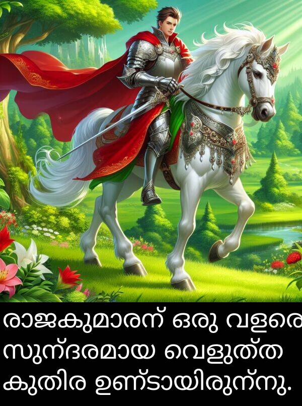 വെളുത്ത: രാജകുമാരന് ഒരു വളരെ സുന്ദരമായ വെളുത്ത കുതിര ഉണ്ടായിരുന്നു.
