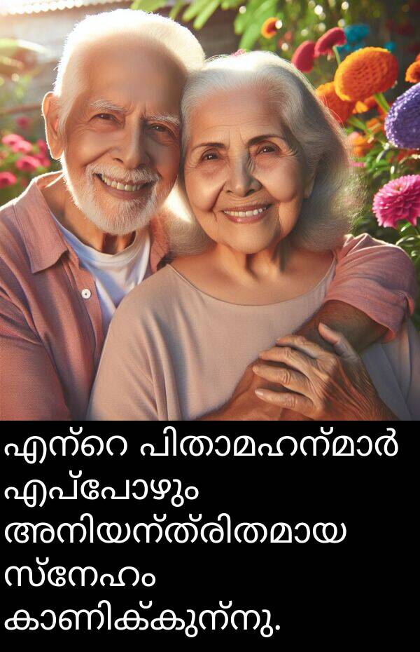 സ്നേഹം: എന്റെ പിതാമഹന്മാർ എപ്പോഴും അനിയന്ത്രിതമായ സ്നേഹം കാണിക്കുന്നു.