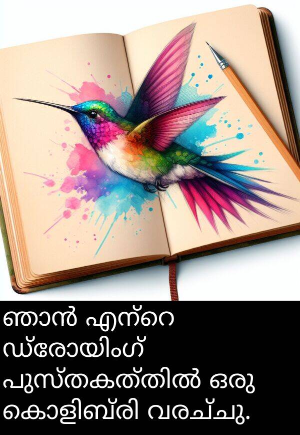 വരച്ചു: ഞാൻ എന്റെ ഡ്രോയിംഗ് പുസ്തകത്തിൽ ഒരു കൊളിബ്രി വരച്ചു.