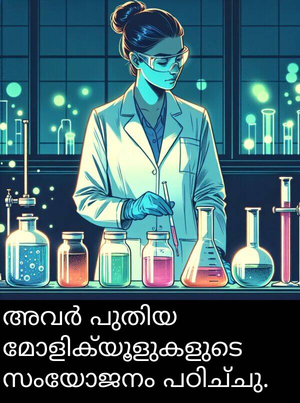 സംയോജനം: അവർ പുതിയ മോളിക്യൂളുകളുടെ സംയോജനം പഠിച്ചു.