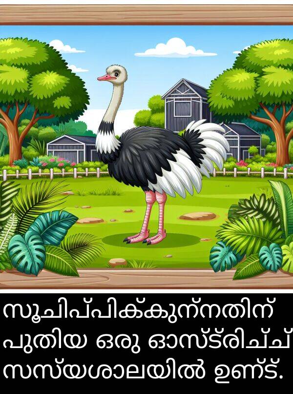 ഉണ്ട്: സൂചിപ്പിക്കുന്നതിന് പുതിയ ഒരു ഓസ്ട്രിച്ച് സസ്യശാലയിൽ ഉണ്ട്.