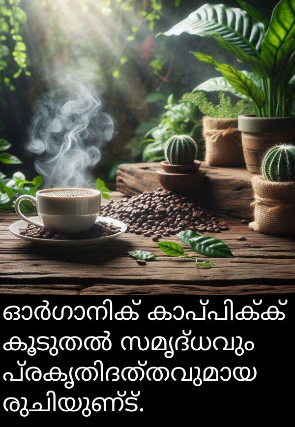 സമൃദ്ധവും: ഓർഗാനിക് കാപ്പിക്ക് കൂടുതൽ സമൃദ്ധവും പ്രകൃതിദത്തവുമായ രുചിയുണ്ട്.