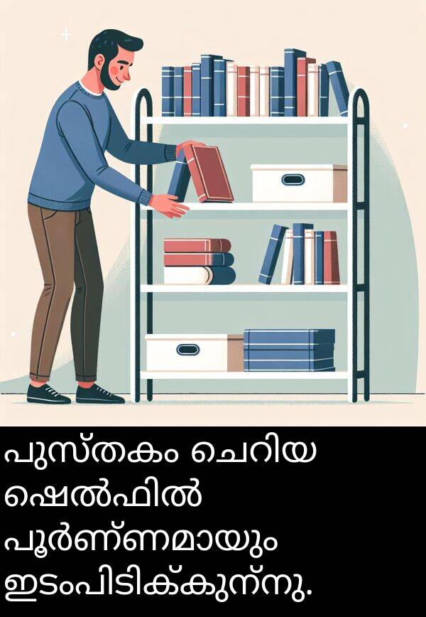 പുസ്തകം: പുസ്തകം ചെറിയ ഷെൽഫിൽ പൂർണ്ണമായും ഇടംപിടിക്കുന്നു.
