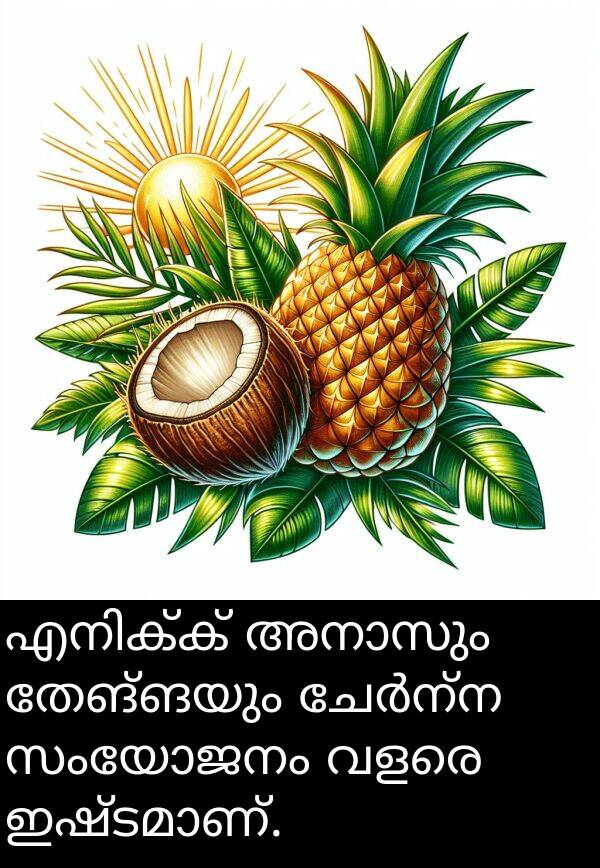 തേങ്ങയും: എനിക്ക് അനാസും തേങ്ങയും ചേർന്ന സംയോജനം വളരെ ഇഷ്ടമാണ്.
