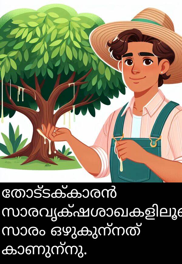 ഒഴുകുന്നത്: തോട്ടക്കാരൻ സാരവൃക്ഷശാഖകളിലൂടെ സാരം ഒഴുകുന്നത് കാണുന്നു.