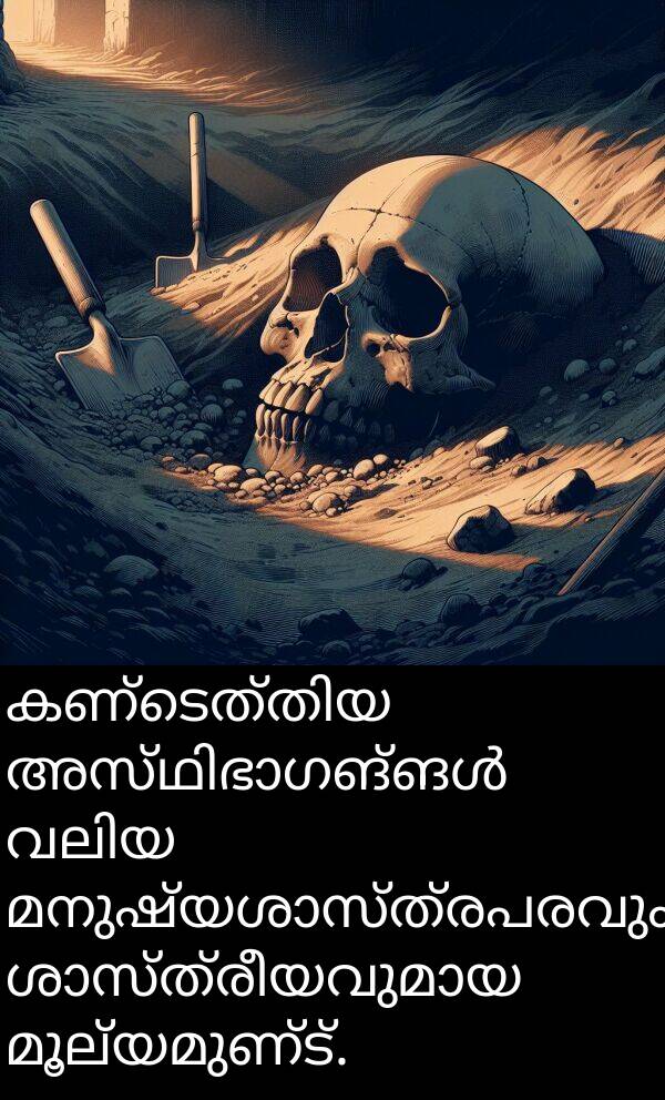മൂല്യമുണ്ട്: കണ്ടെത്തിയ അസ്ഥിഭാഗങ്ങൾ വലിയ മനുഷ്യശാസ്ത്രപരവും ശാസ്ത്രീയവുമായ മൂല്യമുണ്ട്.