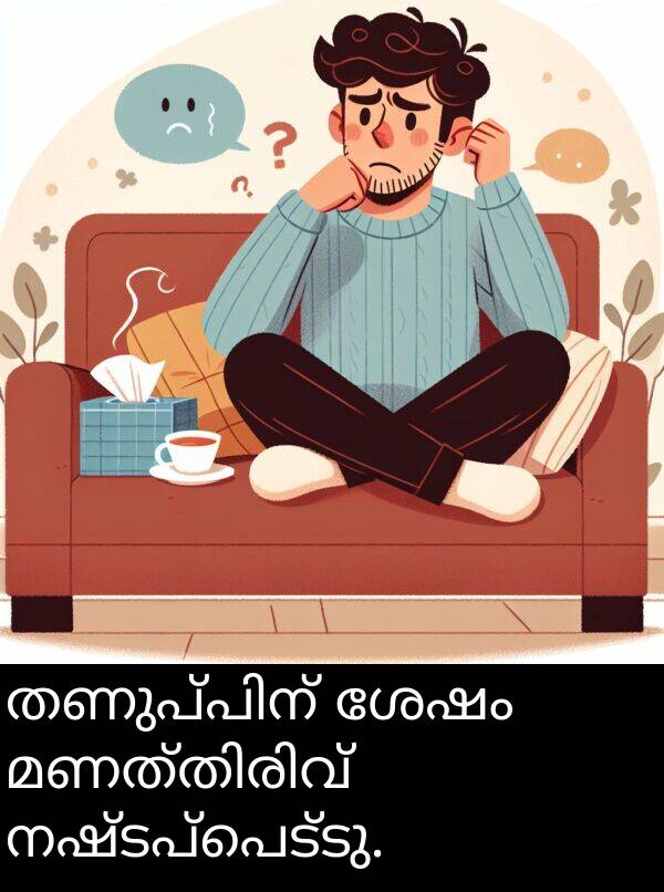 നഷ്ടപ്പെട്ടു: തണുപ്പിന് ശേഷം മണത്തിരിവ് നഷ്ടപ്പെട്ടു.
