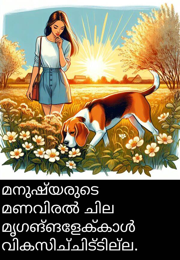 മനുഷ്യരുടെ: മനുഷ്യരുടെ മണവിരൽ ചില മൃഗങ്ങളേക്കാൾ വികസിച്ചിട്ടില്ല.