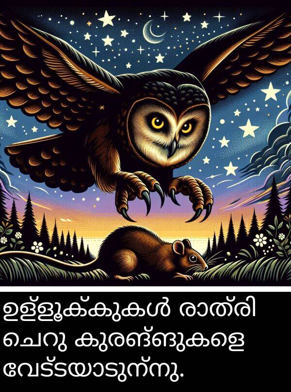 കുരങ്ങുകളെ: ഉള്ളൂക്കുകൾ രാത്രി ചെറു കുരങ്ങുകളെ വേട്ടയാടുന്നു.