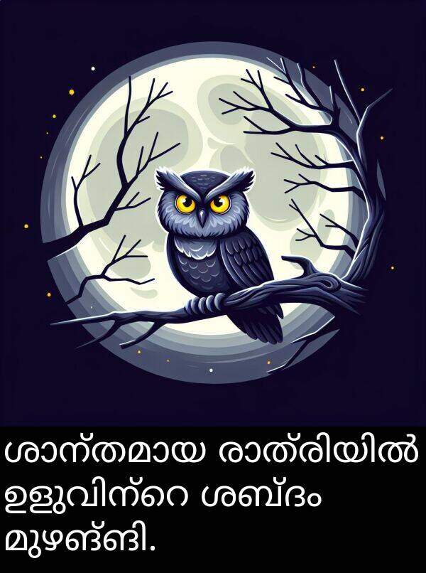 ശബ്ദം: ശാന്തമായ രാത്രിയിൽ ഉളുവിന്റെ ശബ്ദം മുഴങ്ങി.