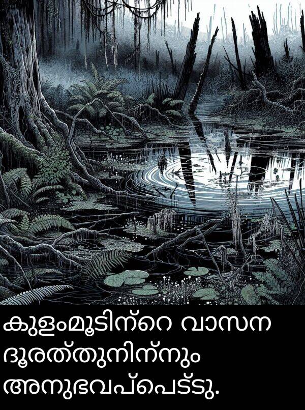 അനുഭവപ്പെട്ടു: കുളംമൂടിന്റെ വാസന ദൂരത്തുനിന്നും അനുഭവപ്പെട്ടു.