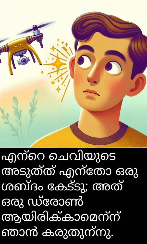 കരുതുന്നു: എന്റെ ചെവിയുടെ അടുത്ത് എന്തോ ഒരു ശബ്ദം കേട്ടു; അത് ഒരു ഡ്രോൺ ആയിരിക്കാമെന്ന് ഞാൻ കരുതുന്നു.