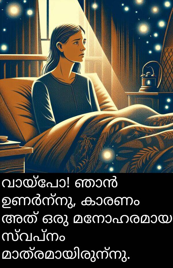 സ്വപ്നം: വായ്പോ! ഞാൻ ഉണർന്നു, കാരണം അത് ഒരു മനോഹരമായ സ്വപ്നം മാത്രമായിരുന്നു.