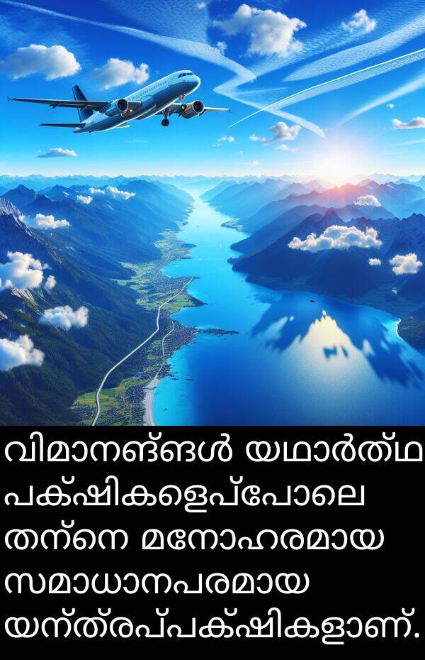 തന്നെ: വിമാനങ്ങൾ യഥാർത്ഥ പക്ഷികളെപ്പോലെ തന്നെ മനോഹരമായ സമാധാനപരമായ യന്ത്രപ്പക്ഷികളാണ്.