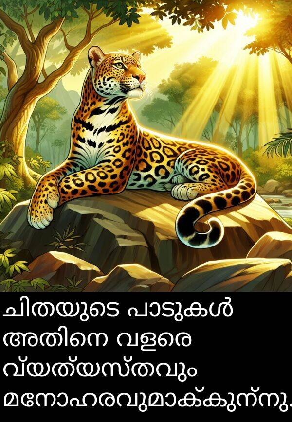വ്യത്യസ്തവും: ചിതയുടെ പാടുകൾ അതിനെ വളരെ വ്യത്യസ്തവും മനോഹരവുമാക്കുന്നു.