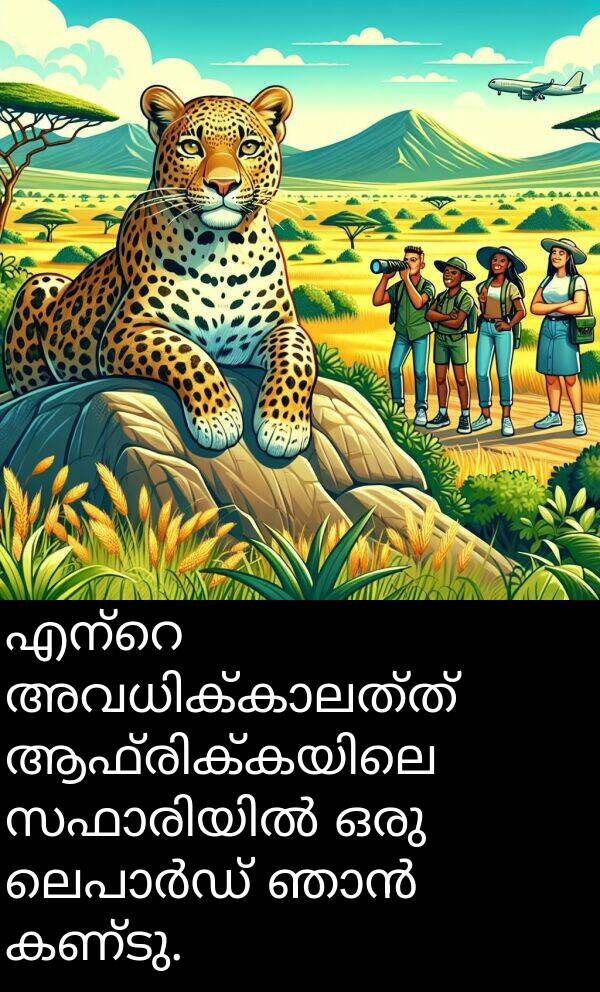 കണ്ടു: എന്റെ അവധിക്കാലത്ത് ആഫ്രിക്കയിലെ സഫാരിയിൽ ഒരു ലെപാർഡ് ഞാൻ കണ്ടു.
