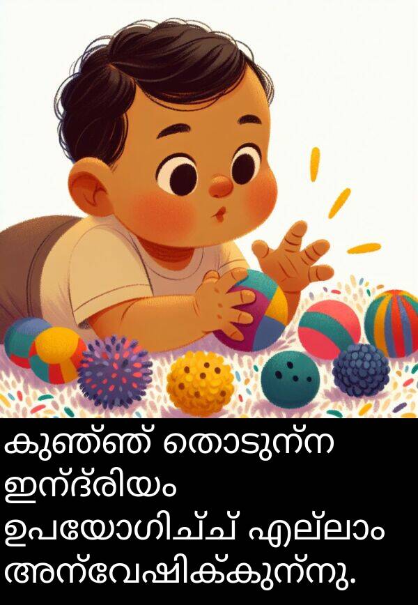 കുഞ്ഞ്: കുഞ്ഞ് തൊടുന്ന ഇന്ദ്രിയം ഉപയോഗിച്ച് എല്ലാം അന്വേഷിക്കുന്നു.