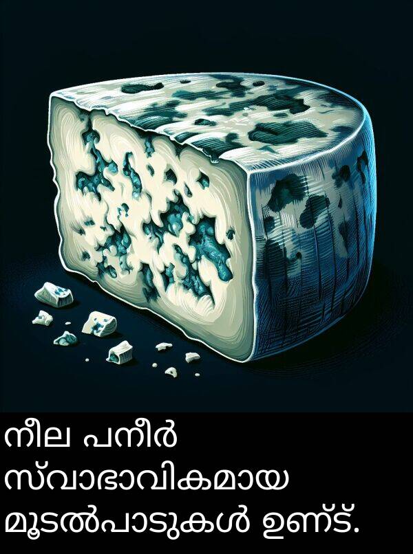 ഉണ്ട്: നീല പനീർ സ്വാഭാവികമായ മൂടൽപാടുകൾ ഉണ്ട്.