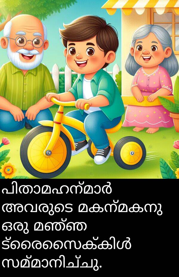 മകന്മകനു: പിതാമഹന്മാർ അവരുടെ മകന്മകനു ഒരു മഞ്ഞ ട്രൈസൈക്കിൾ സമ്മാനിച്ചു.