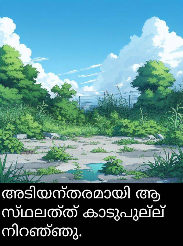 സ്ഥലത്ത്: അടിയന്തരമായി ആ സ്ഥലത്ത് കാടുപുല്ല് നിറഞ്ഞു.