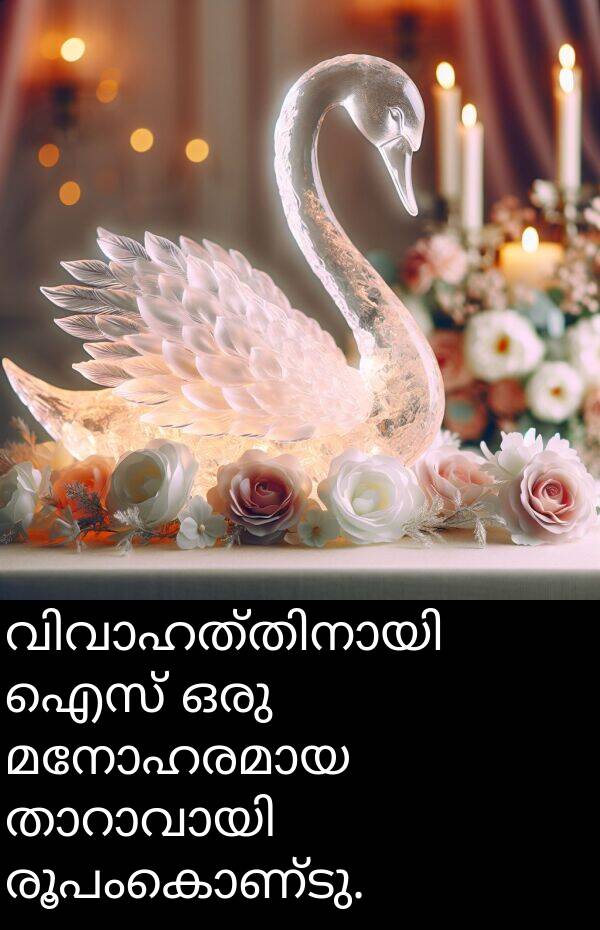 രൂപംകൊണ്ടു: വിവാഹത്തിനായി ഐസ് ഒരു മനോഹരമായ താറാവായി രൂപംകൊണ്ടു.