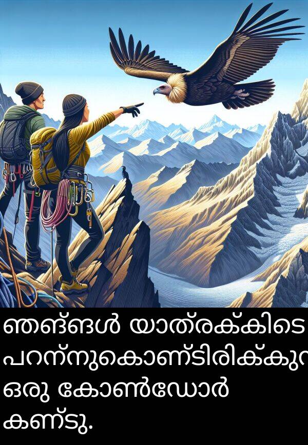 കണ്ടു: ഞങ്ങൾ യാത്രക്കിടെ പറന്നുകൊണ്ടിരിക്കുന്ന ഒരു കോൺഡോർ കണ്ടു.