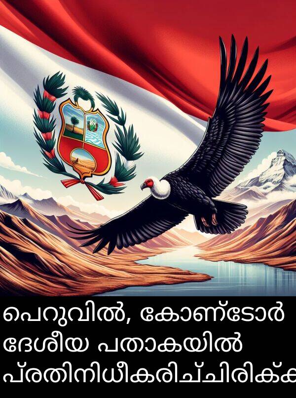 ദേശീയ: പെറുവിൽ, കോണ്ടോർ ദേശീയ പതാകയിൽ പ്രതിനിധീകരിച്ചിരിക്കുന്നു.