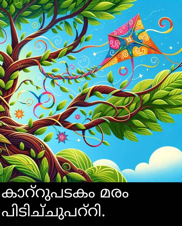 മരം: കാറ്റുപടകം മരം പിടിച്ചുപറ്റി.