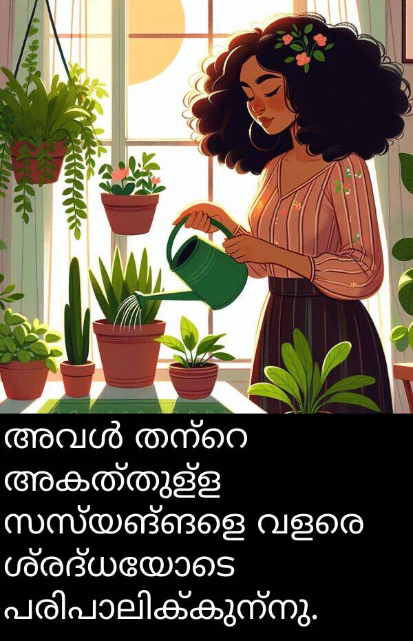 അകത്തുള്ള: അവൾ തന്റെ അകത്തുള്ള സസ്യങ്ങളെ വളരെ ശ്രദ്ധയോടെ പരിപാലിക്കുന്നു.