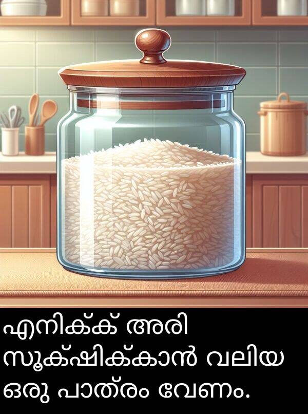 വേണം: എനിക്ക് അരി സൂക്ഷിക്കാൻ വലിയ ഒരു പാത്രം വേണം.