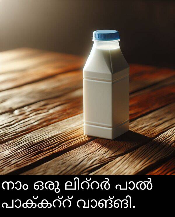 ഒരു: നാം ഒരു ലിറ്റർ പാൽ പാക്കറ്റ് വാങ്ങി.
