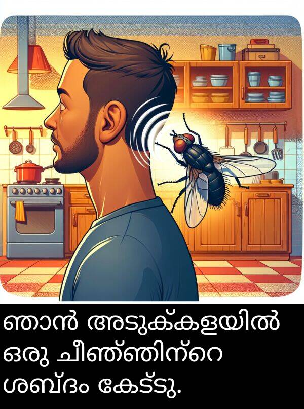 കേട്ടു: ഞാൻ അടുക്കളയിൽ ഒരു ചീഞ്ഞിന്റെ ശബ്ദം കേട്ടു.