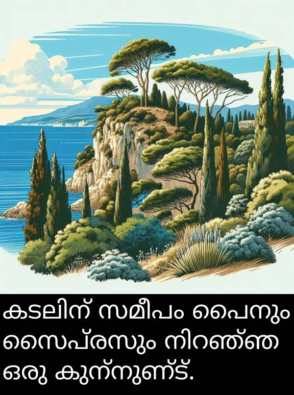 പൈനും: കടലിന് സമീപം പൈനും സൈപ്രസും നിറഞ്ഞ ഒരു കുന്നുണ്ട്.