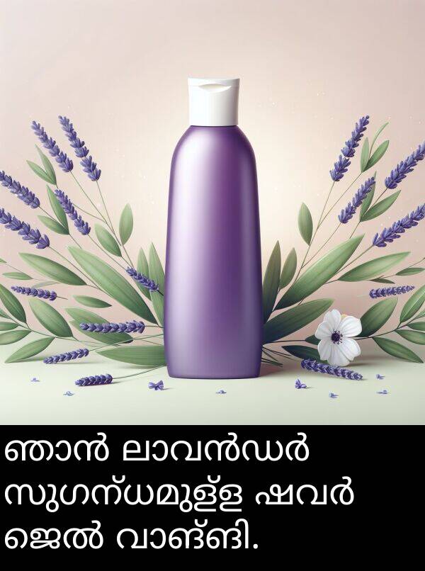 സുഗന്ധമുള്ള: ഞാൻ ലാവൻഡർ സുഗന്ധമുള്ള ഷവർ ജെൽ വാങ്ങി.