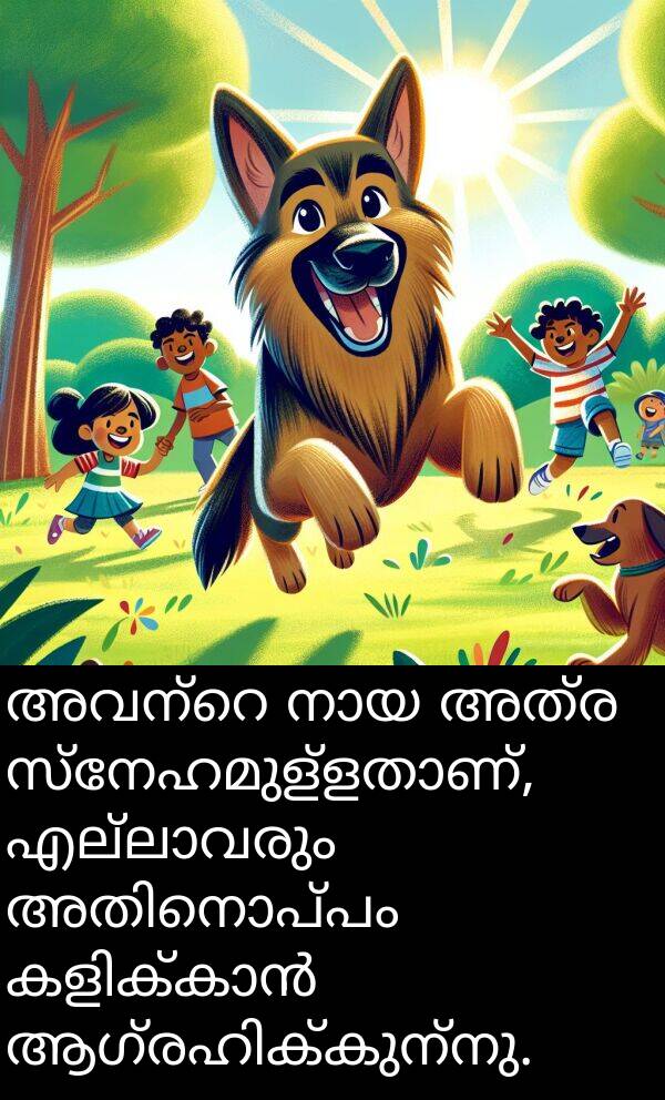 അത്ര: അവന്റെ നായ അത്ര സ്നേഹമുള്ളതാണ്, എല്ലാവരും അതിനൊപ്പം കളിക്കാൻ ആഗ്രഹിക്കുന്നു.