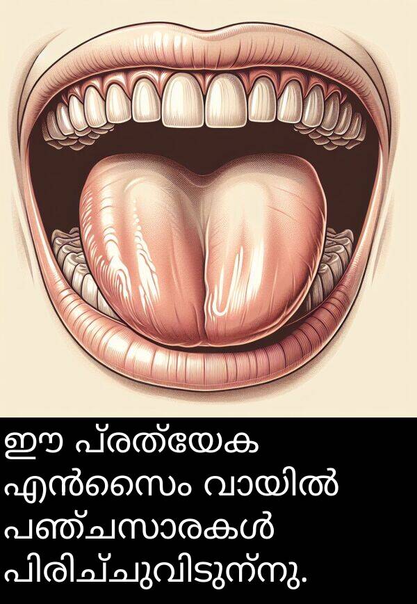 പ്രത്യേക: ഈ പ്രത്യേക എൻസൈം വായിൽ പഞ്ചസാരകൾ പിരിച്ചുവിടുന്നു.