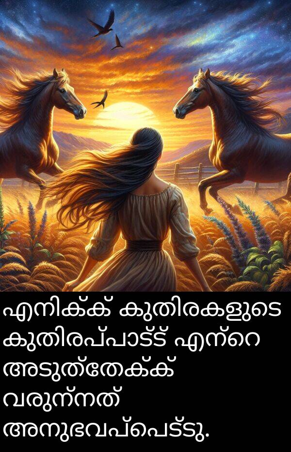 വരുന്നത്: എനിക്ക് കുതിരകളുടെ കുതിരപ്പാട്ട് എന്റെ അടുത്തേക്ക് വരുന്നത് അനുഭവപ്പെട്ടു.