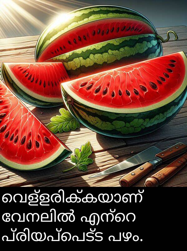 പഴം: വെള്ളരിക്കയാണ് വേനലിൽ എന്റെ പ്രിയപ്പെട്ട പഴം.