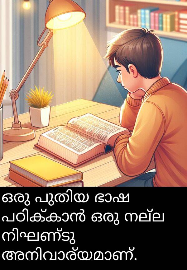 നല്ല: ഒരു പുതിയ ഭാഷ പഠിക്കാൻ ഒരു നല്ല നിഘണ്ടു അനിവാര്യമാണ്.