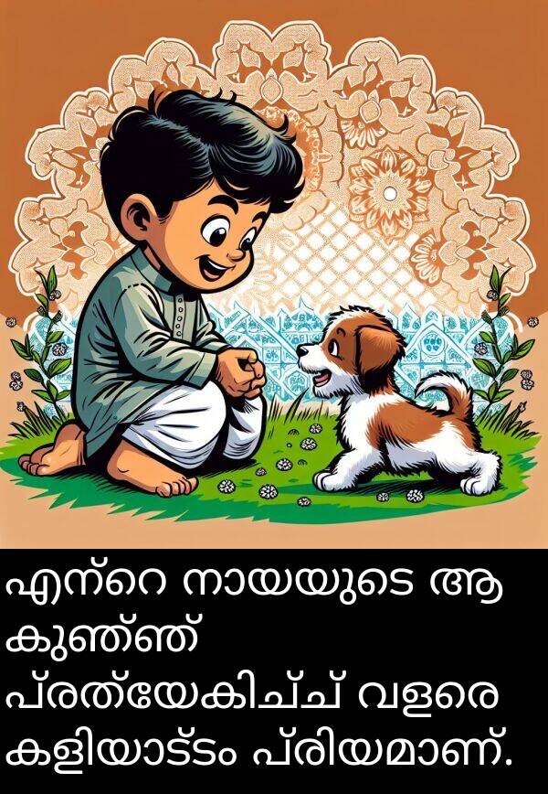 കുഞ്ഞ്: എന്റെ നായയുടെ ആ കുഞ്ഞ് പ്രത്യേകിച്ച് വളരെ കളിയാട്ടം പ്രിയമാണ്.