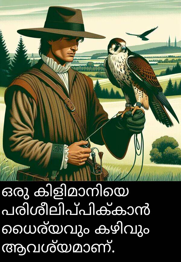 ധൈര്യവും: ഒരു കിളിമാനിയെ പരിശീലിപ്പിക്കാൻ ധൈര്യവും കഴിവും ആവശ്യമാണ്.