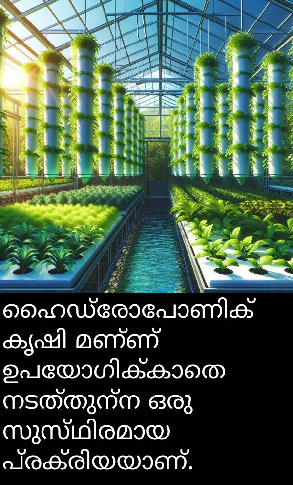 നടത്തുന്ന: ഹൈഡ്രോപോണിക് കൃഷി മണ്ണ് ഉപയോഗിക്കാതെ നടത്തുന്ന ഒരു സുസ്ഥിരമായ പ്രക്രിയയാണ്.