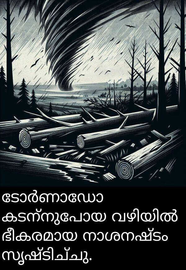 കടന്നുപോയ: ടോർണാഡോ കടന്നുപോയ വഴിയിൽ ഭീകരമായ നാശനഷ്ടം സൃഷ്ടിച്ചു.