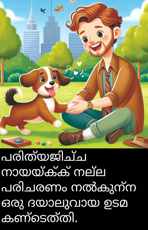 നല്ല: പരിത്യജിച്ച നായയ്ക്ക് നല്ല പരിചരണം നൽകുന്ന ഒരു ദയാലുവായ ഉടമ കണ്ടെത്തി.